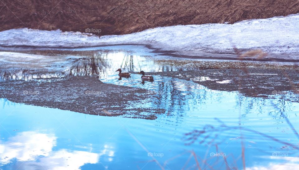 beautiful pond in the Vologda region