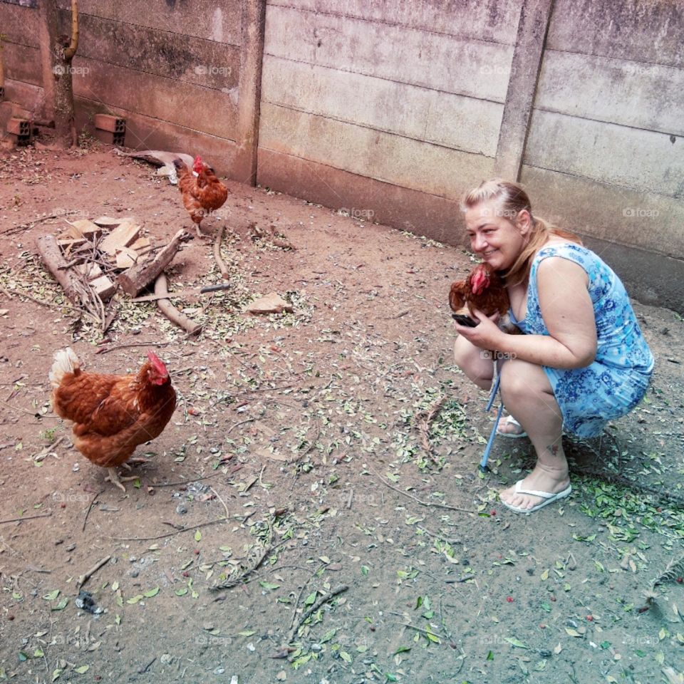 hen and woman at backyard