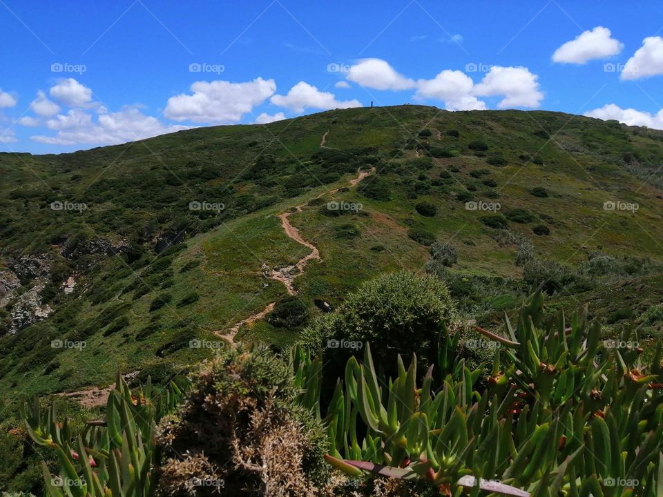 There's always a way