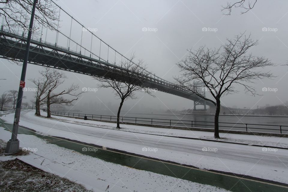 No Person, Bridge, Winter, Landscape, Road