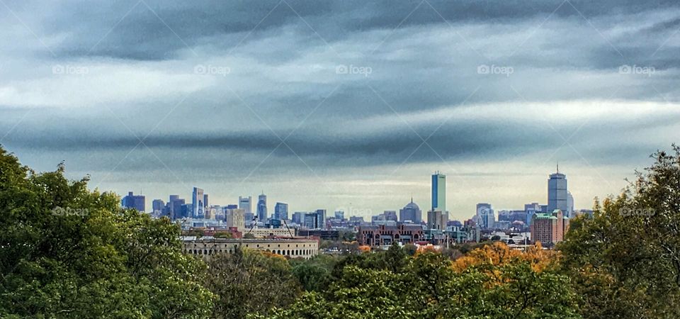 Boston Skyline from Mt Auburn Cemetery