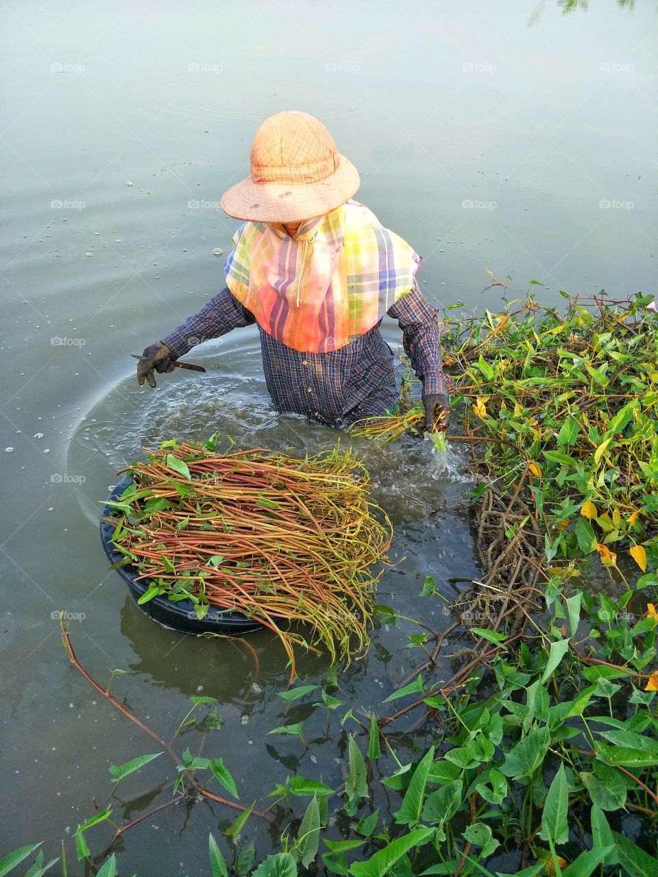 Income of the farmer.