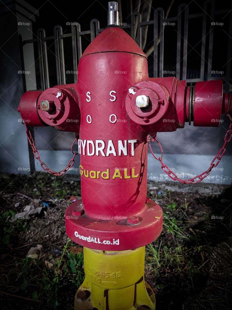 Red vs yellow. Hydrants.