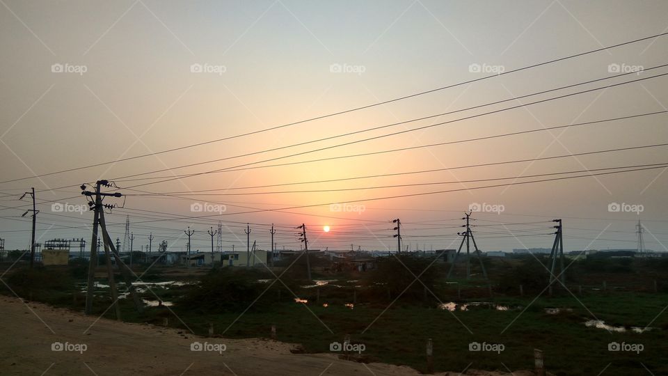 Lovely foggy morning