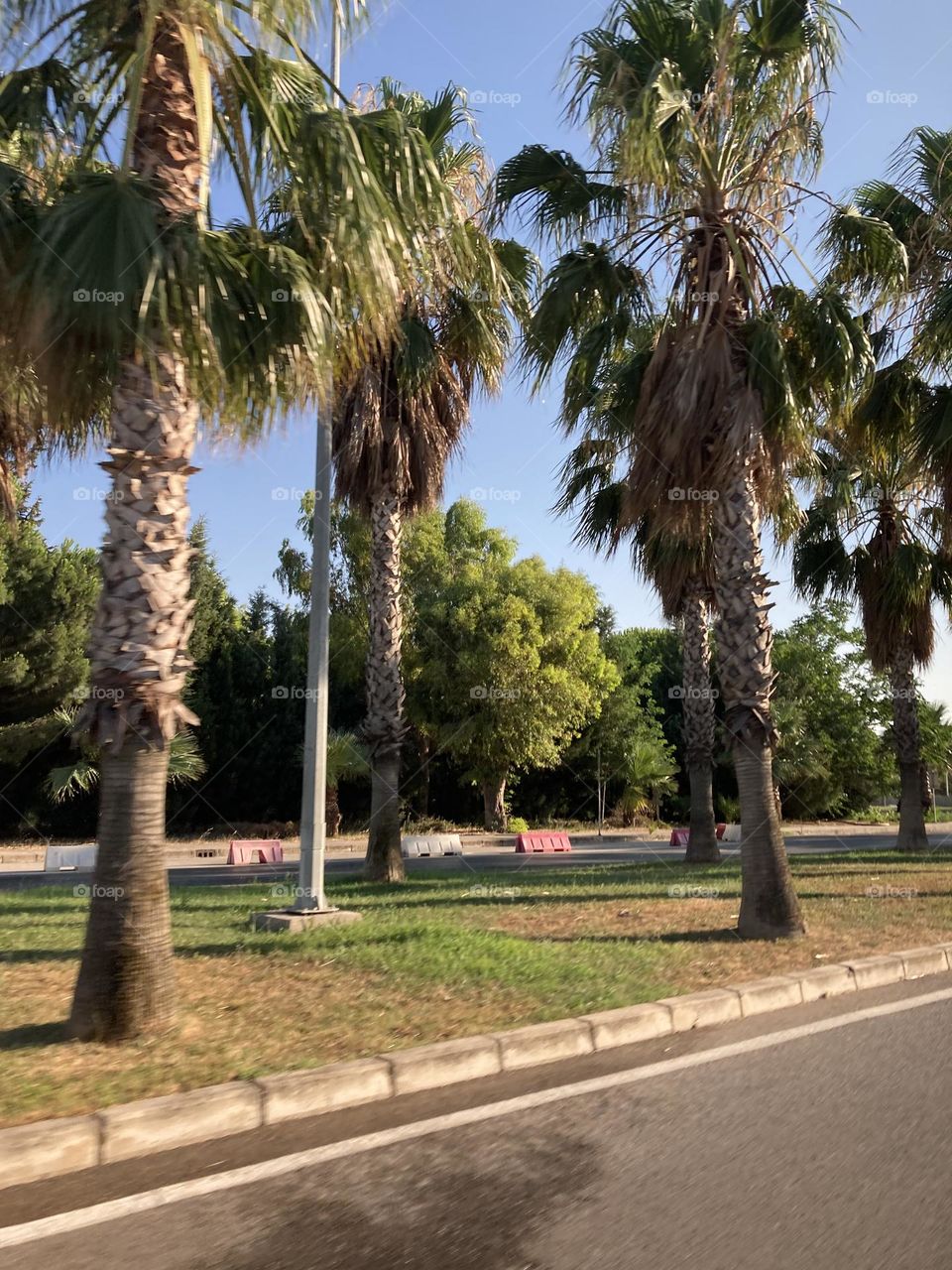 Empty streets in the sunny kusadasi Turkey. Palms and empty roads. Summertime photo. Holidays adventure.