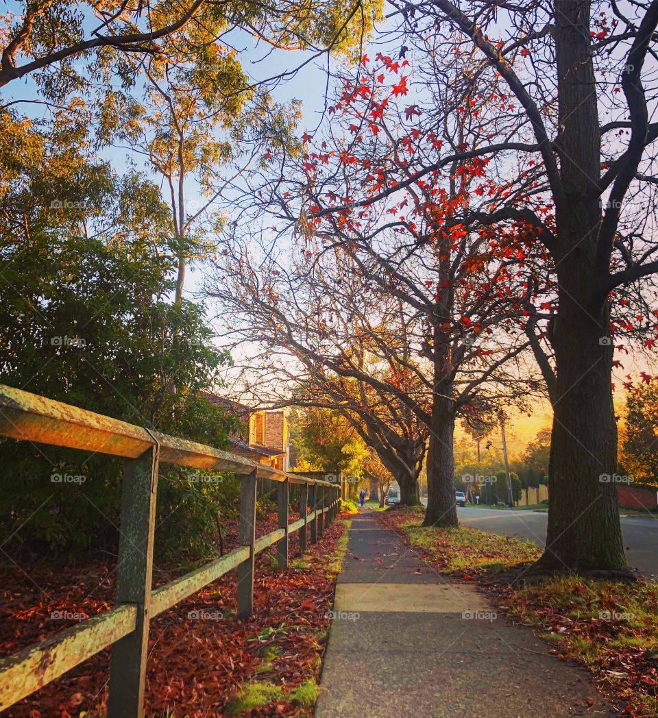 The path to the weekend 