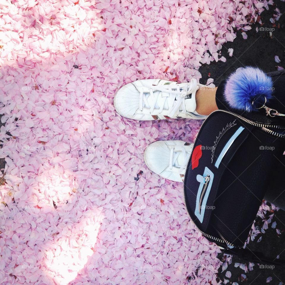 Person's shoes and pink petals