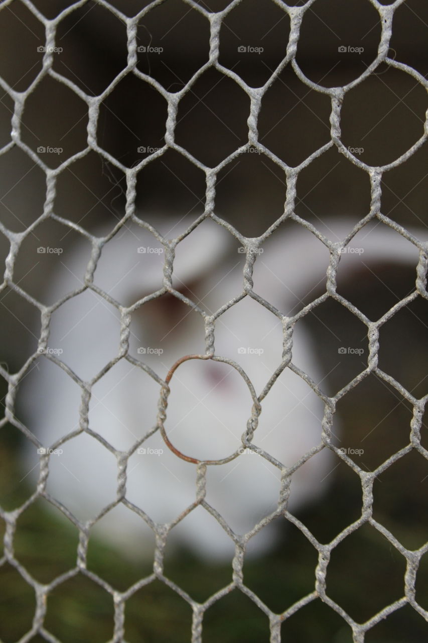 Please don't come closer!