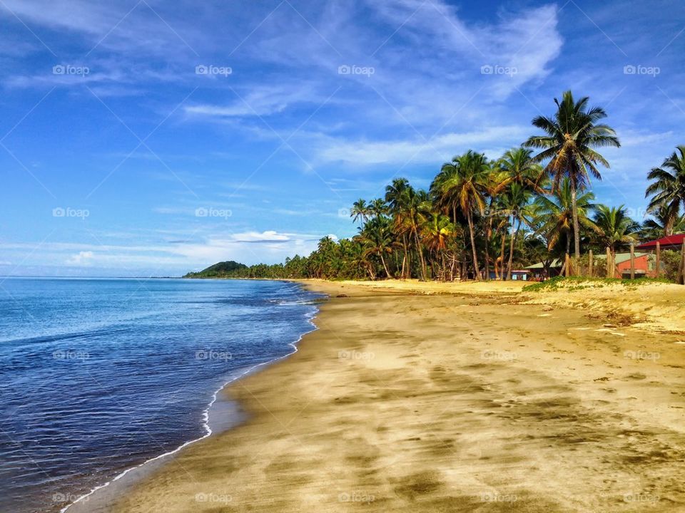 Scenic view of beach