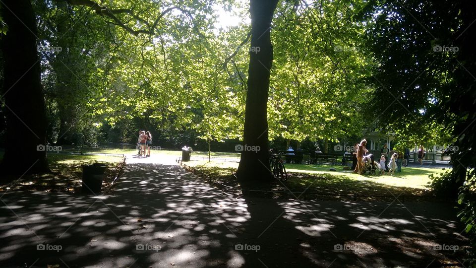 Because is perfect. Only