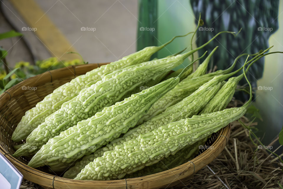 Bitter gourd fresh from the garden in bamboo baskets.