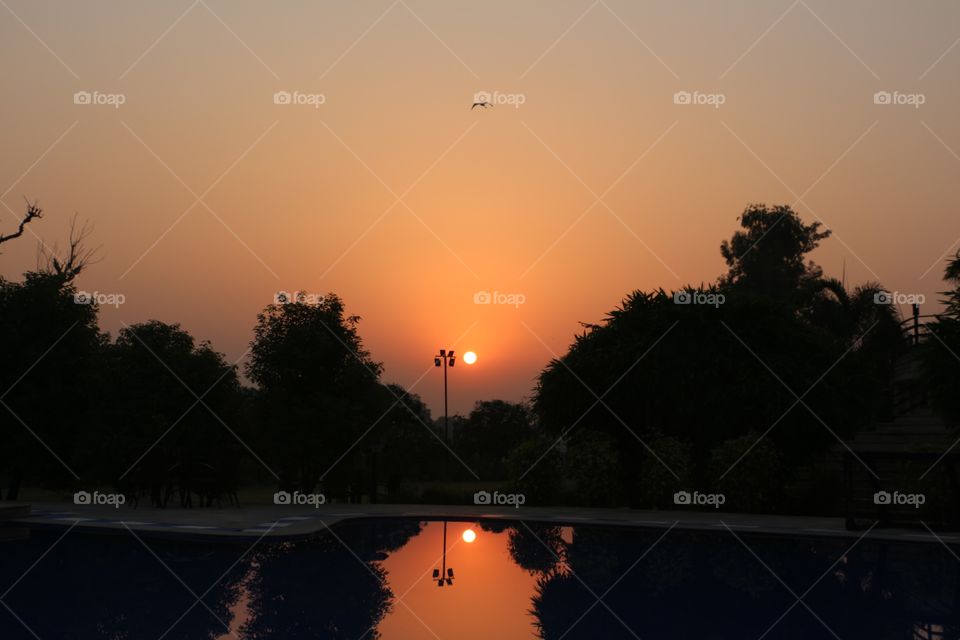 Reflection of orange coloured sky in the pond