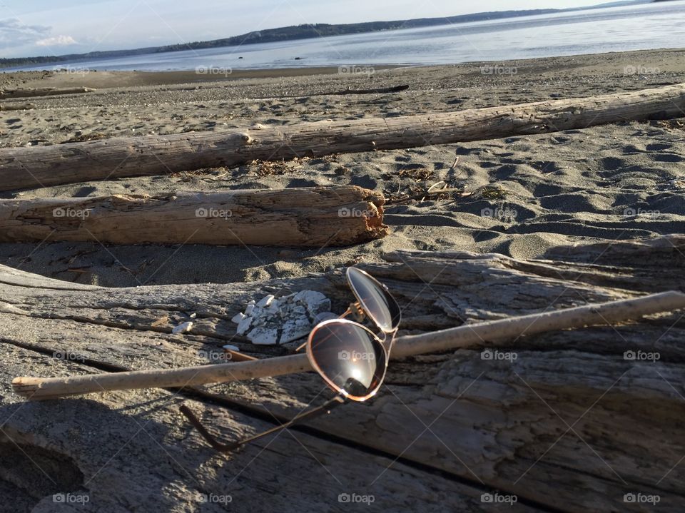 Beachy Sun Day. Sunglasses on Driftwood