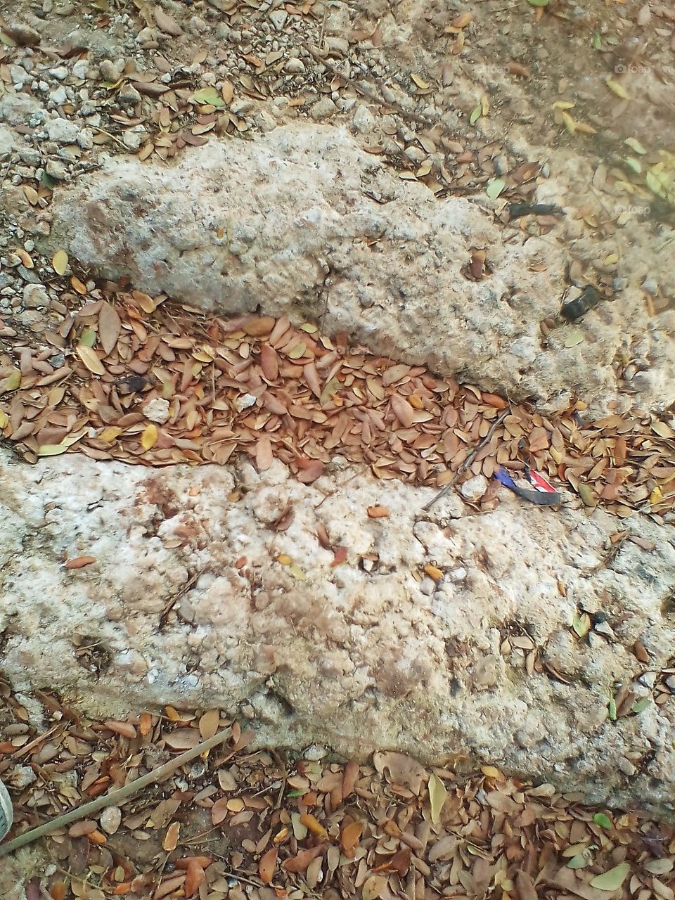 White stone and a collection of small, dry leaves