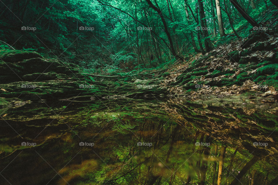 Wood, No Person, Water, Landscape, Nature