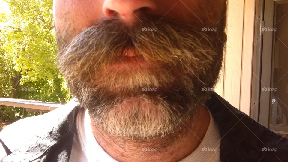 Man, People, Portrait, Adult, One