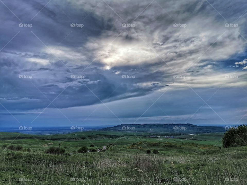 Forest day outdoor nature greens wild forest greens sky clouds moody