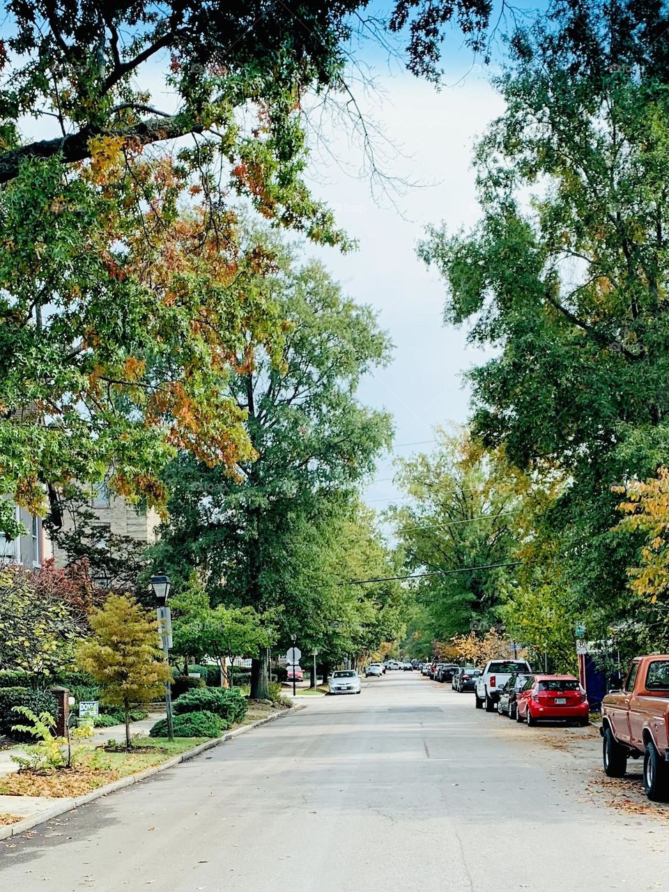 Residential street 