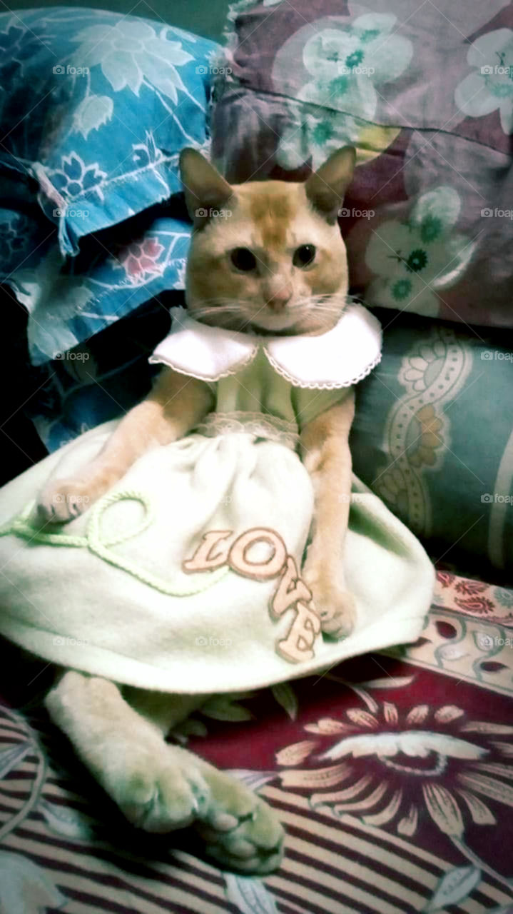 Crazy snap . That awkward moment when you are left alone with someone you just met .. 😁😁  Baby Doll... 😋