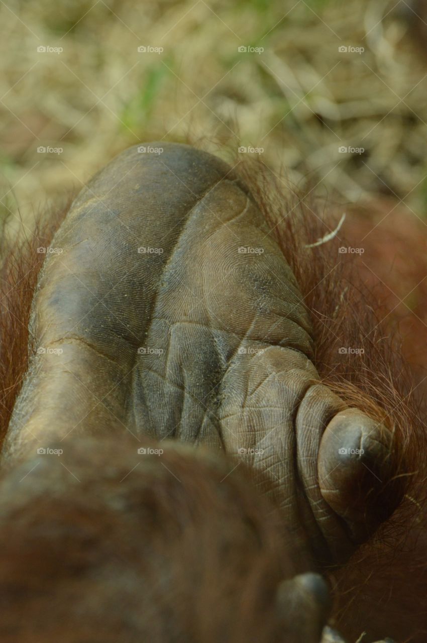 Always lend a helping hand or foot... ✋🏻✌🏻️🙌🏻