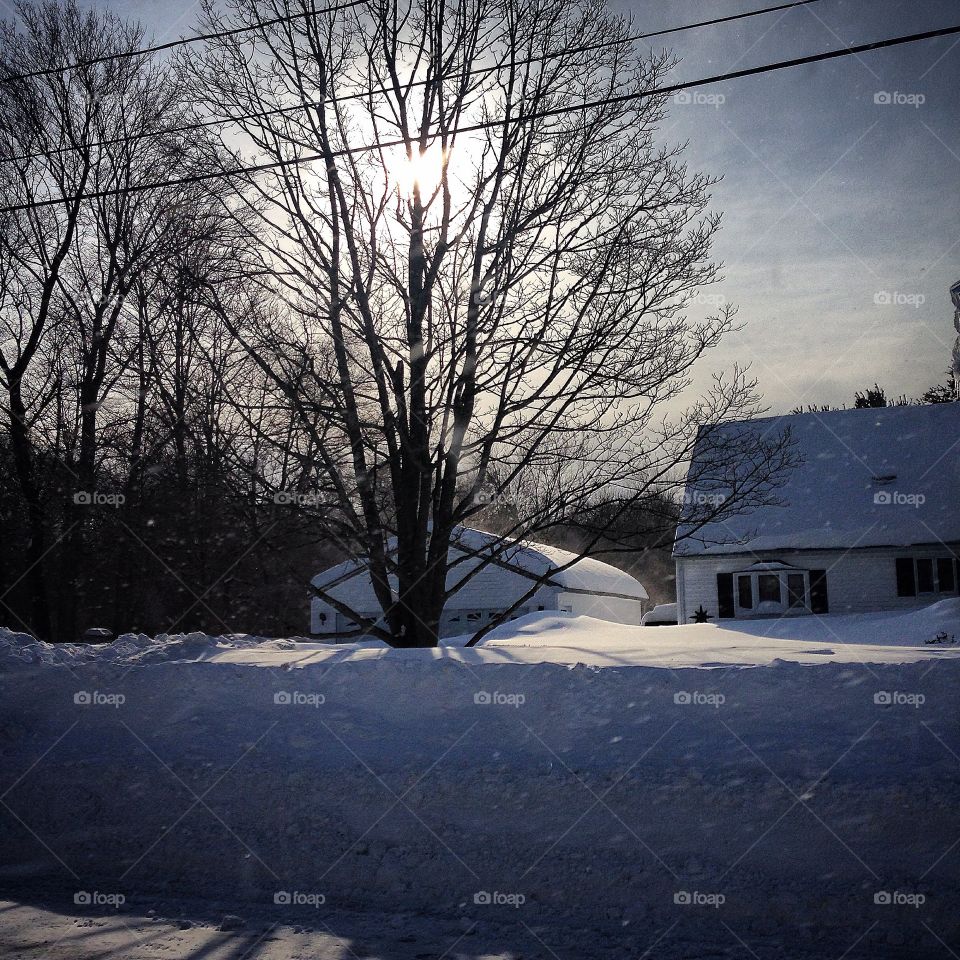 Sunshine on a cold day