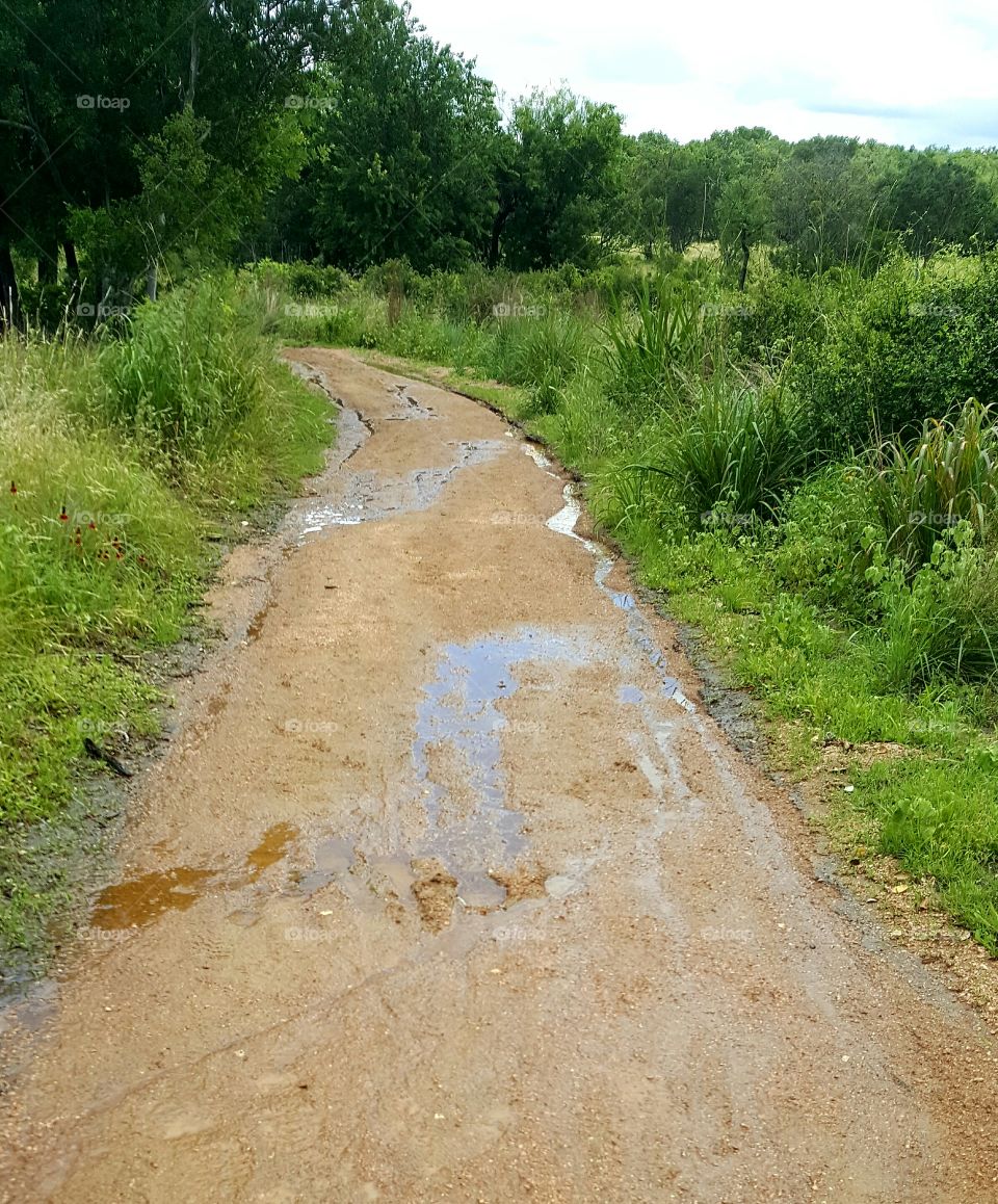 watery path