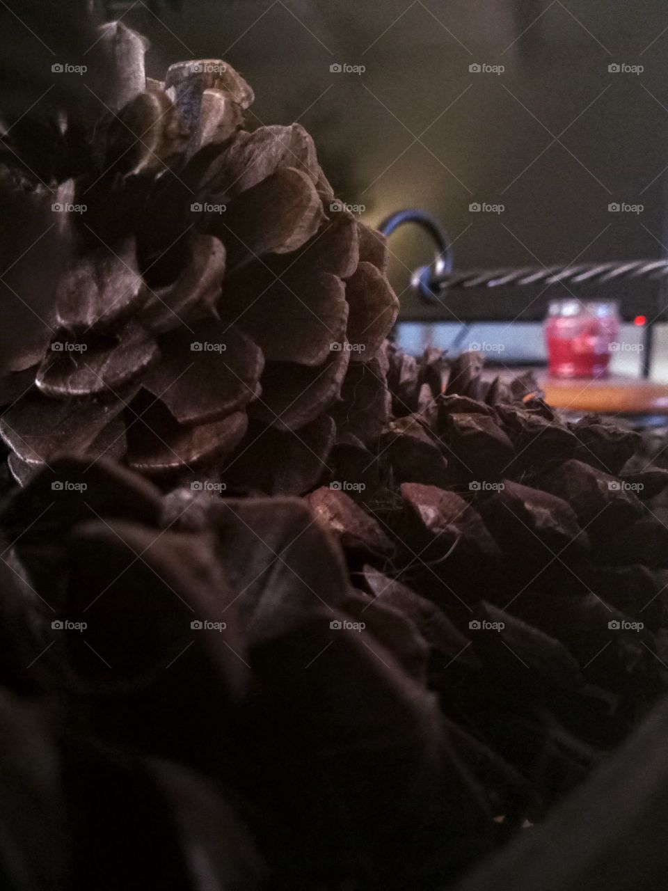 closeup pine cones