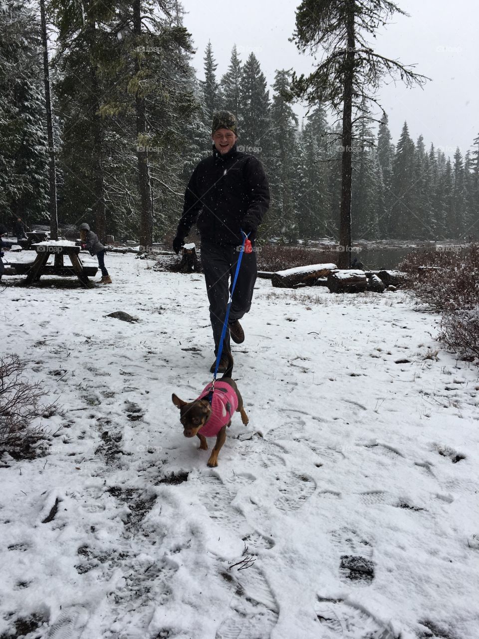 This is one of the first times of our dog playing in the snow 