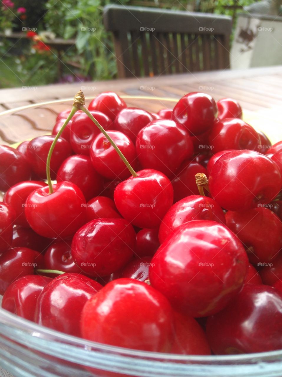 red cherry
rote Kirschen