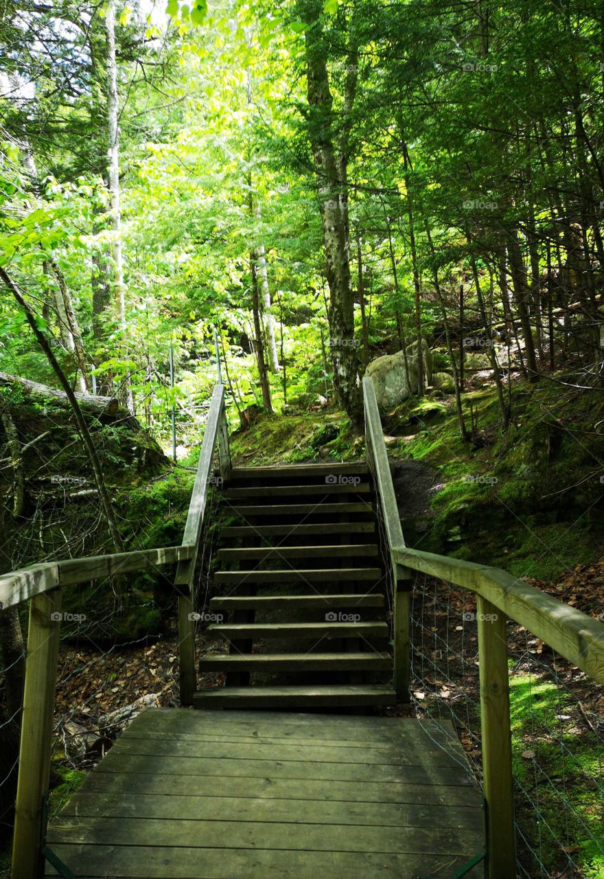 hiking on a sunny afternoon