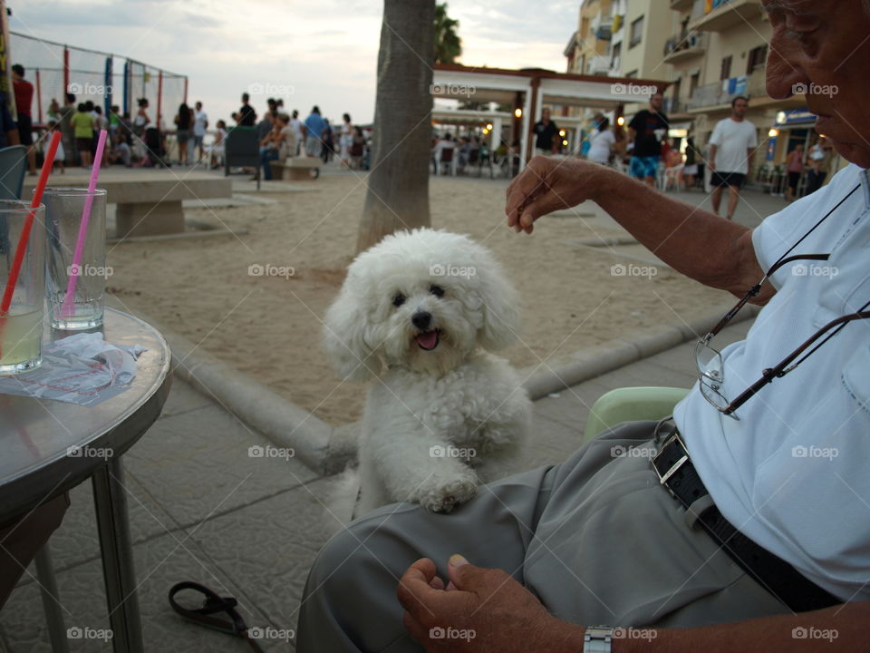 Tarde de verano