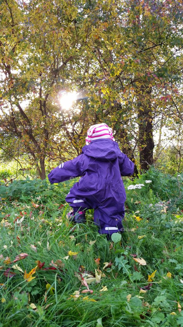 Toddler explorer. Toddler exploring the outdoors an autumn day