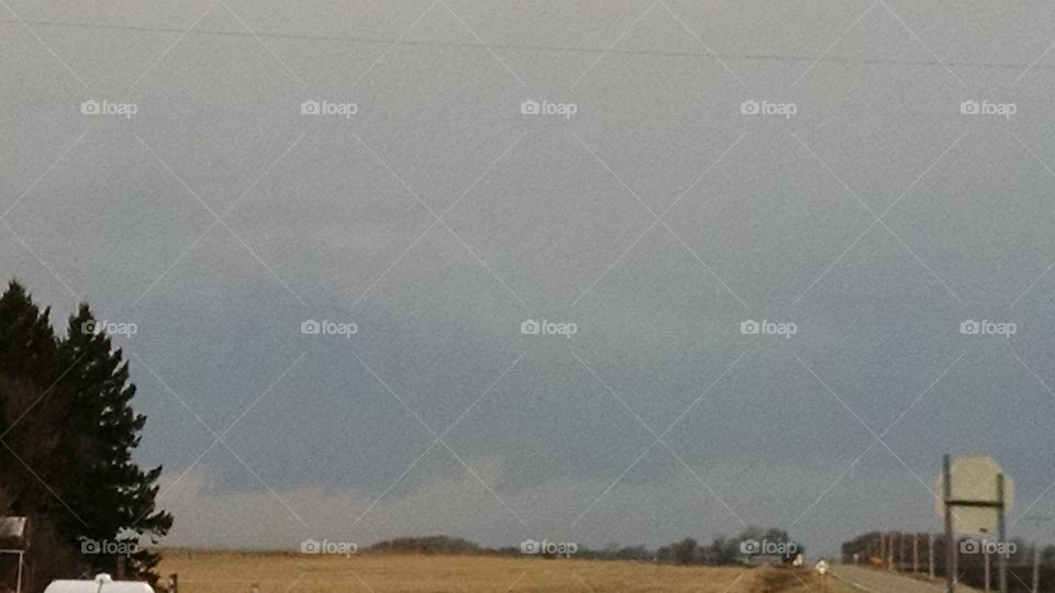 Landscape, Cropland, No Person, Tree, Daylight