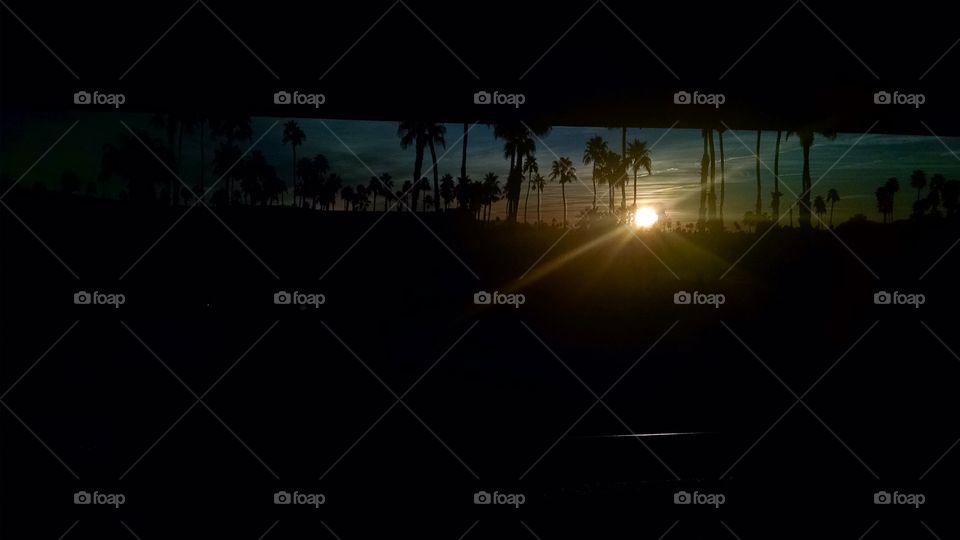 sunset in palm springs