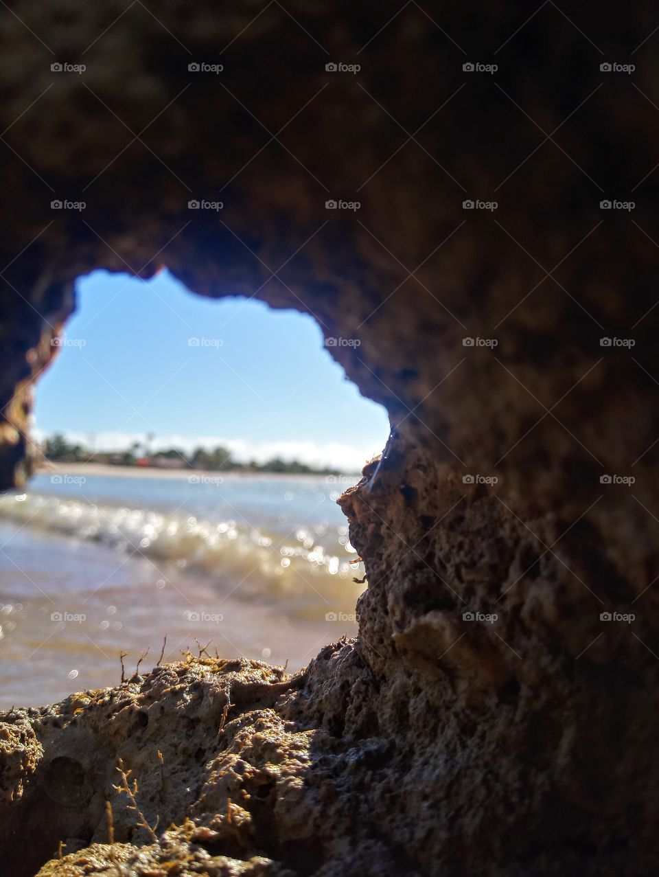 Corais e um lindo mar!