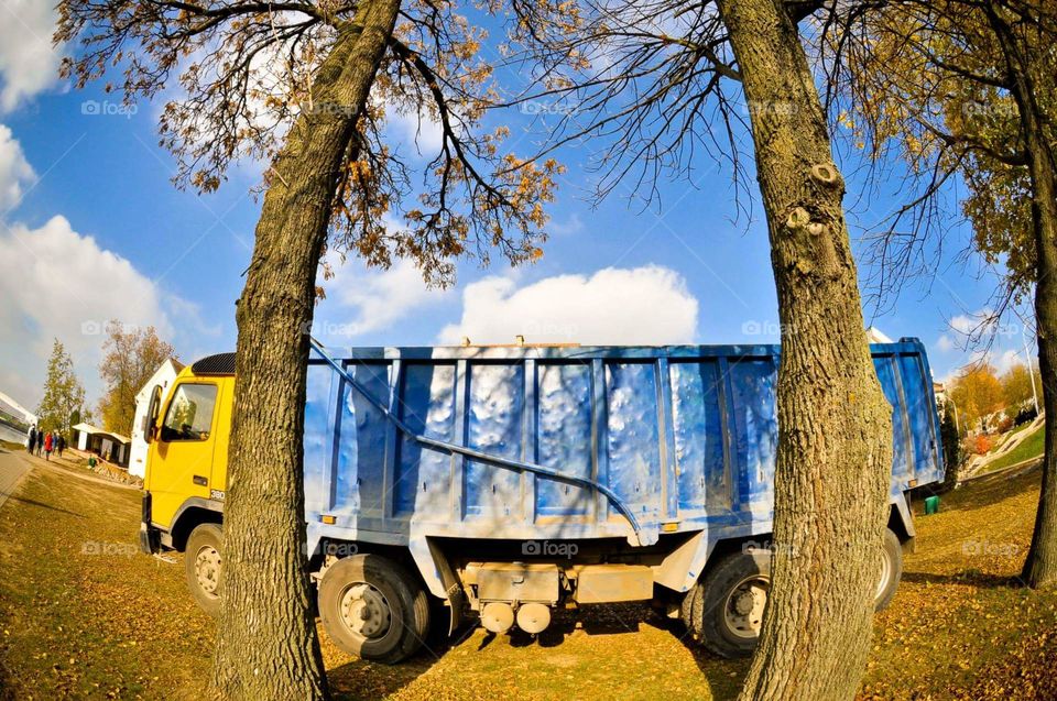 A truck standing behind two trees