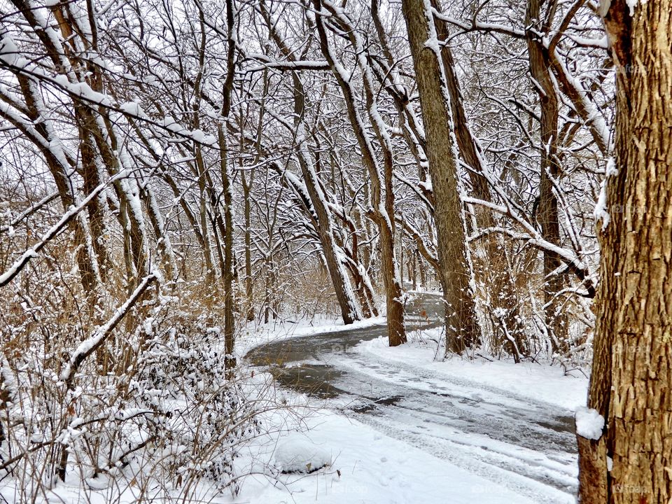 A h.inking trail on a winter day in indiana 