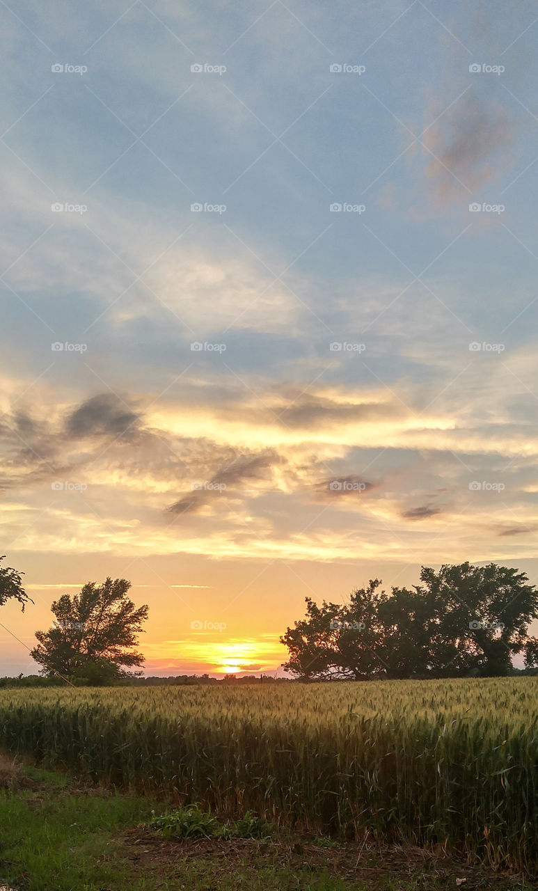 Another Kansas Sunset