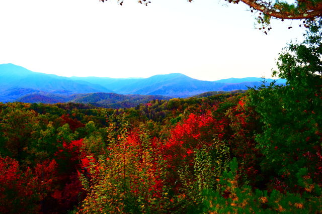 Gatlinburg before the fires
