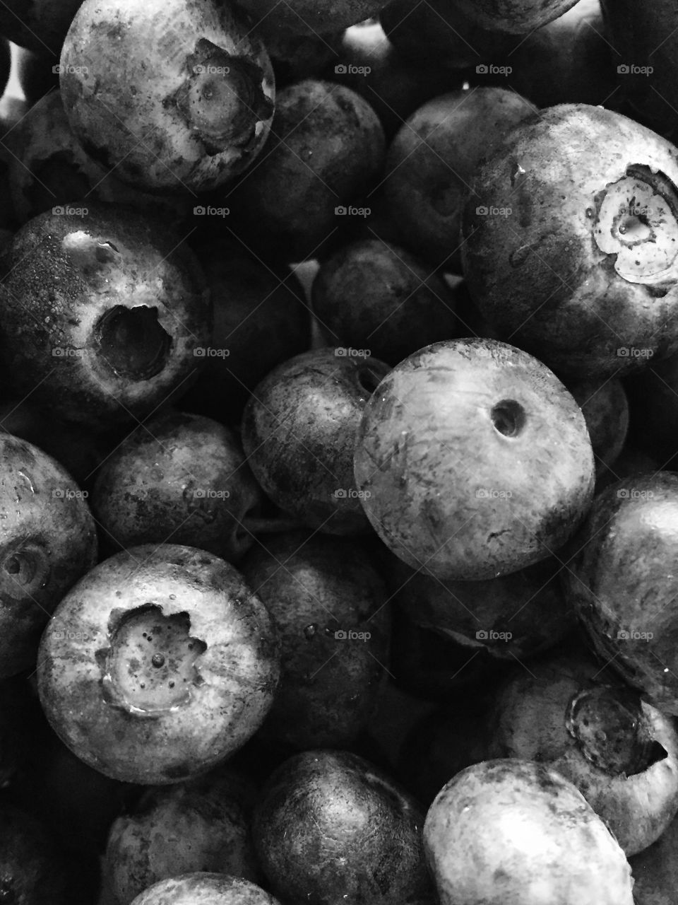 Blue berries in Black and white