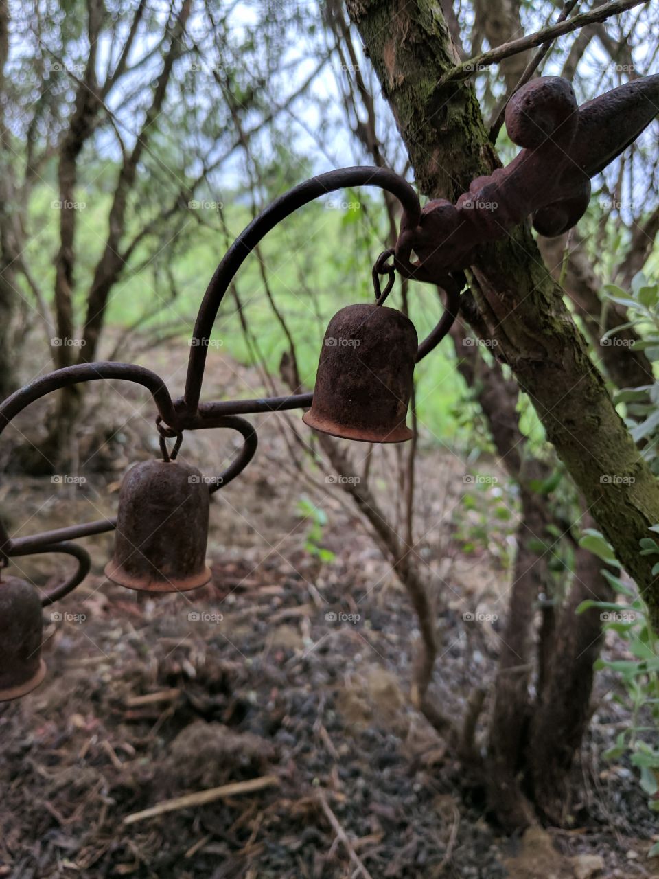 Bell close up