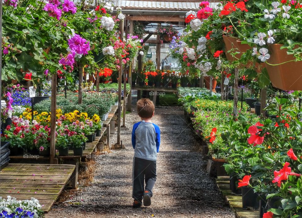 Little Boy In Garden Greenhouse