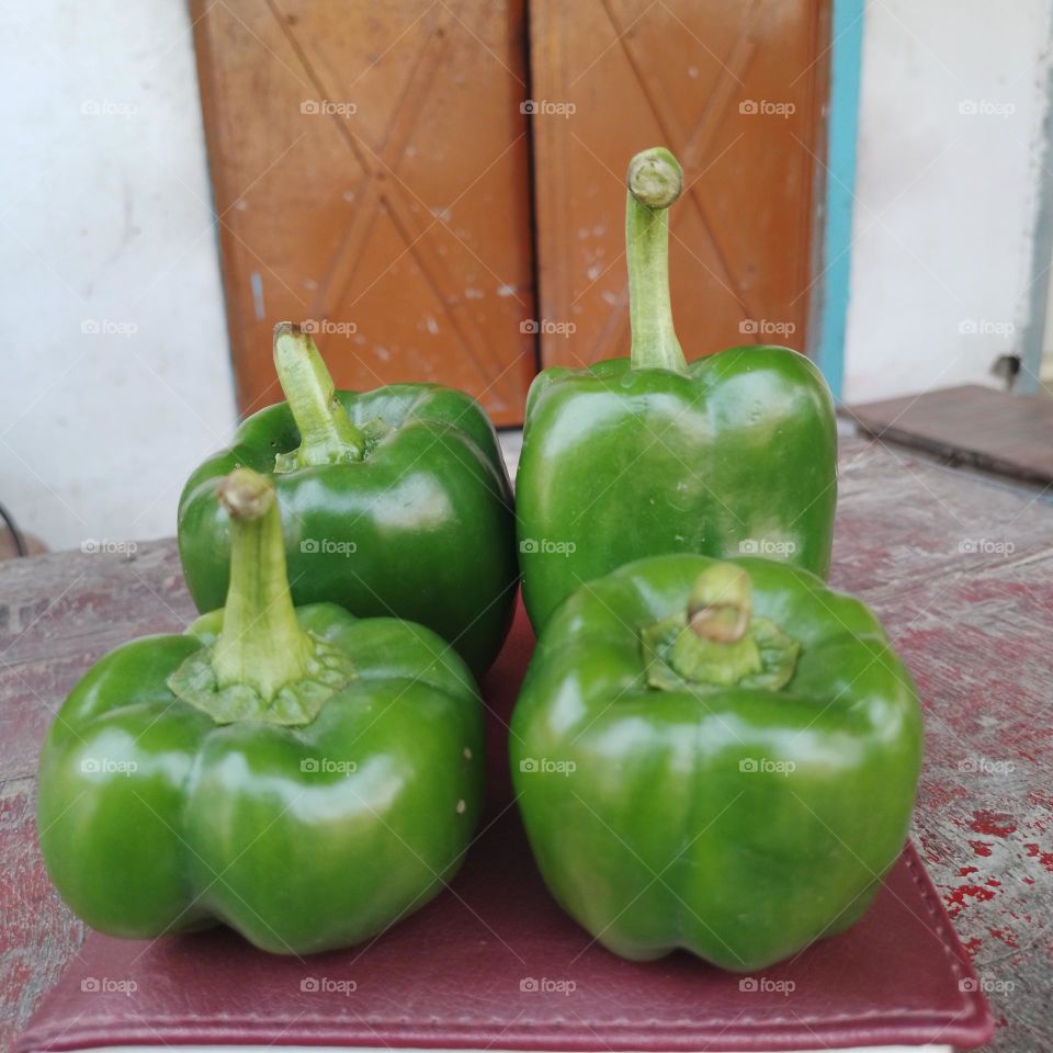 Capsicum