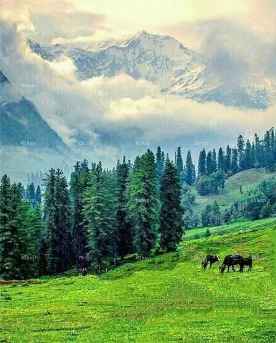 A most beautiful and attractive view.