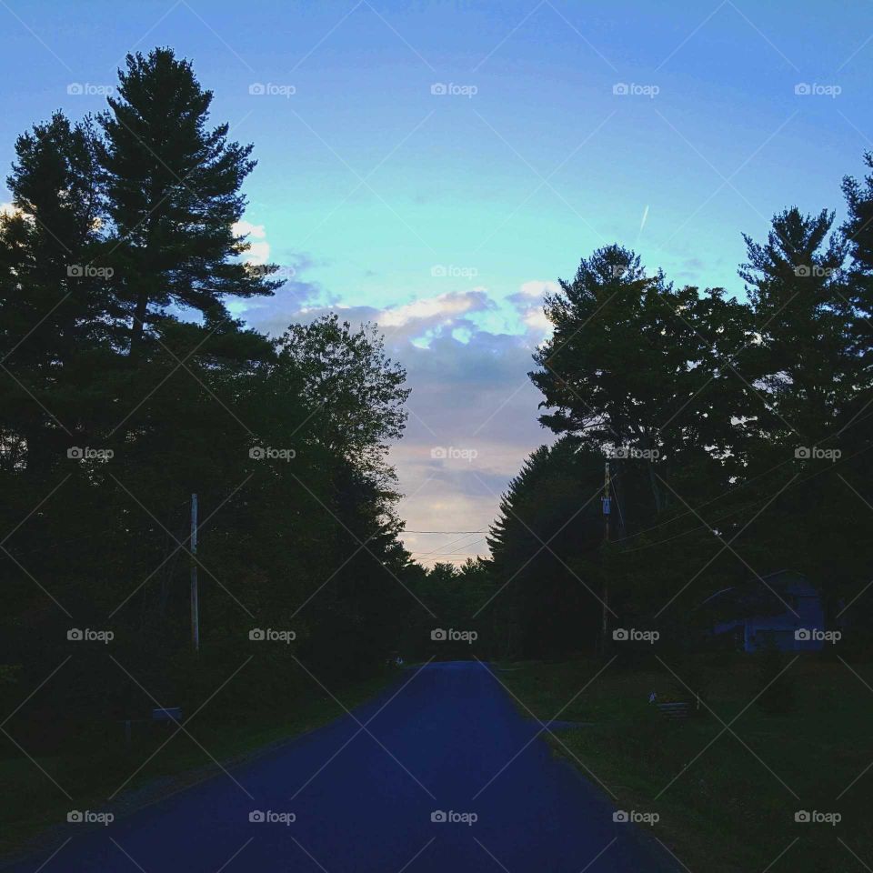 clouds through the trees