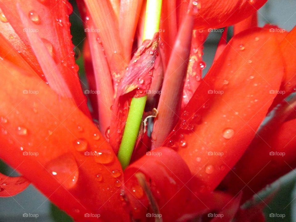 Capturing the vibrancy of the last bits of summer!