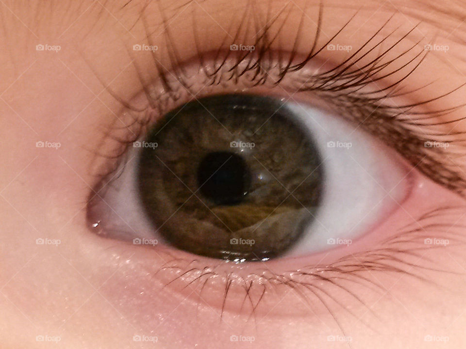 Close-up of brown baby girls' eyes