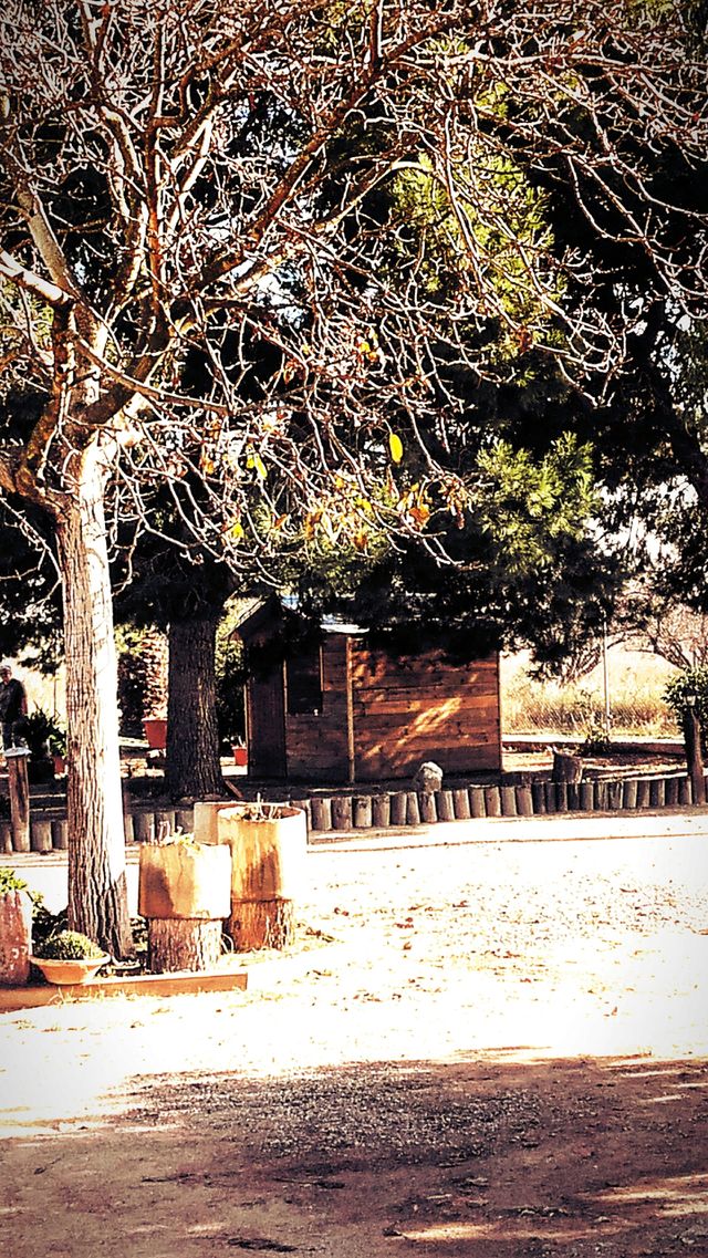 casita de madera