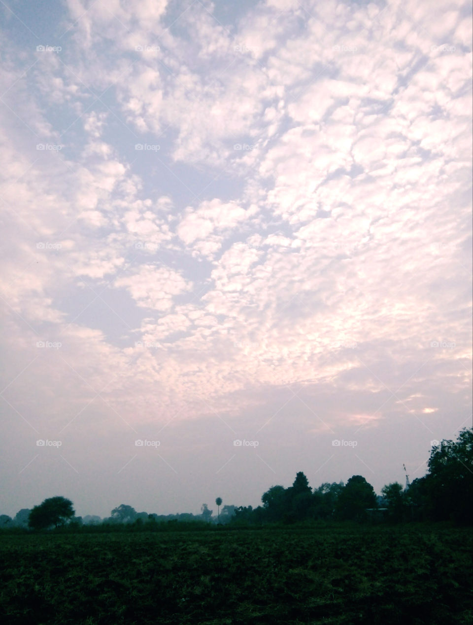 A photo in the evening of autumn,a photo of the autumn season,a photo of the beginning of the younger days,a photo of a wonderful season, a photo of a season,a photo of a beautiful autumn evening,a photo of a happy evening,evening photo,best photo