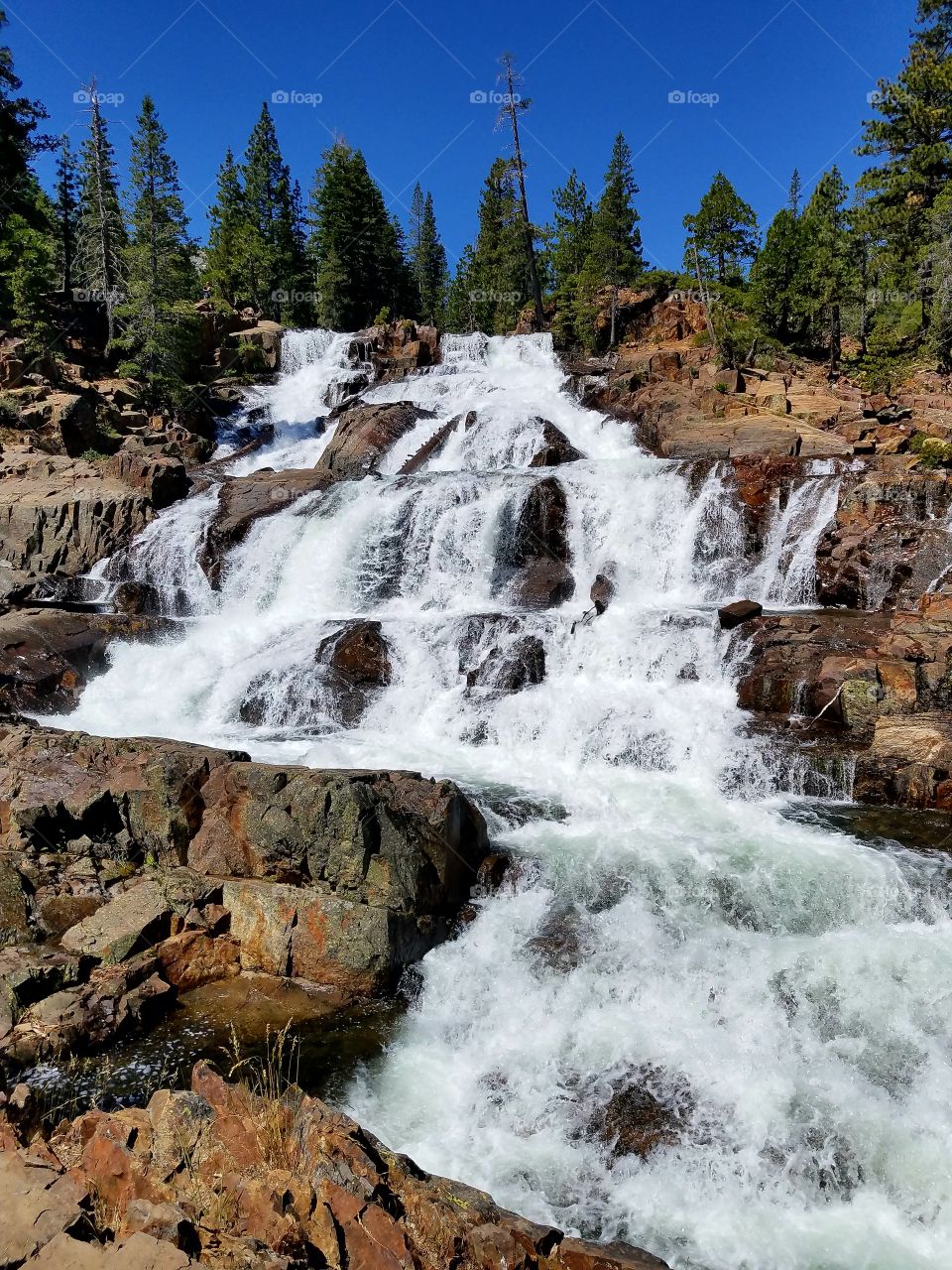 Tahoe Love!